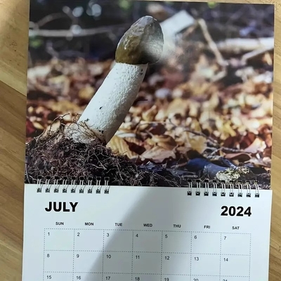 Faça com que o seu calendário de parede personalizado se destaque com personalização e ligação em espiral durável