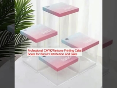 Caixas de bolos de impressão profissional CMYK/Pantone para distribuição e venda de biscoitos